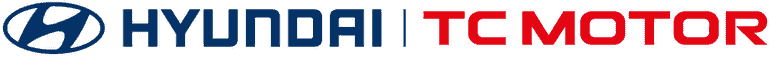 Hyundai Bình Định